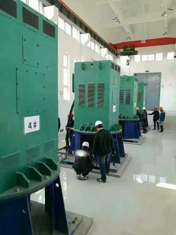 YRKK5604-12/450KW某污水处理厂使用我厂的立式高压电机安装现场