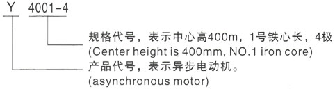 西安泰富西玛Y系列(H355-1000)高压YRKK5604-12/450KW三相异步电机型号说明